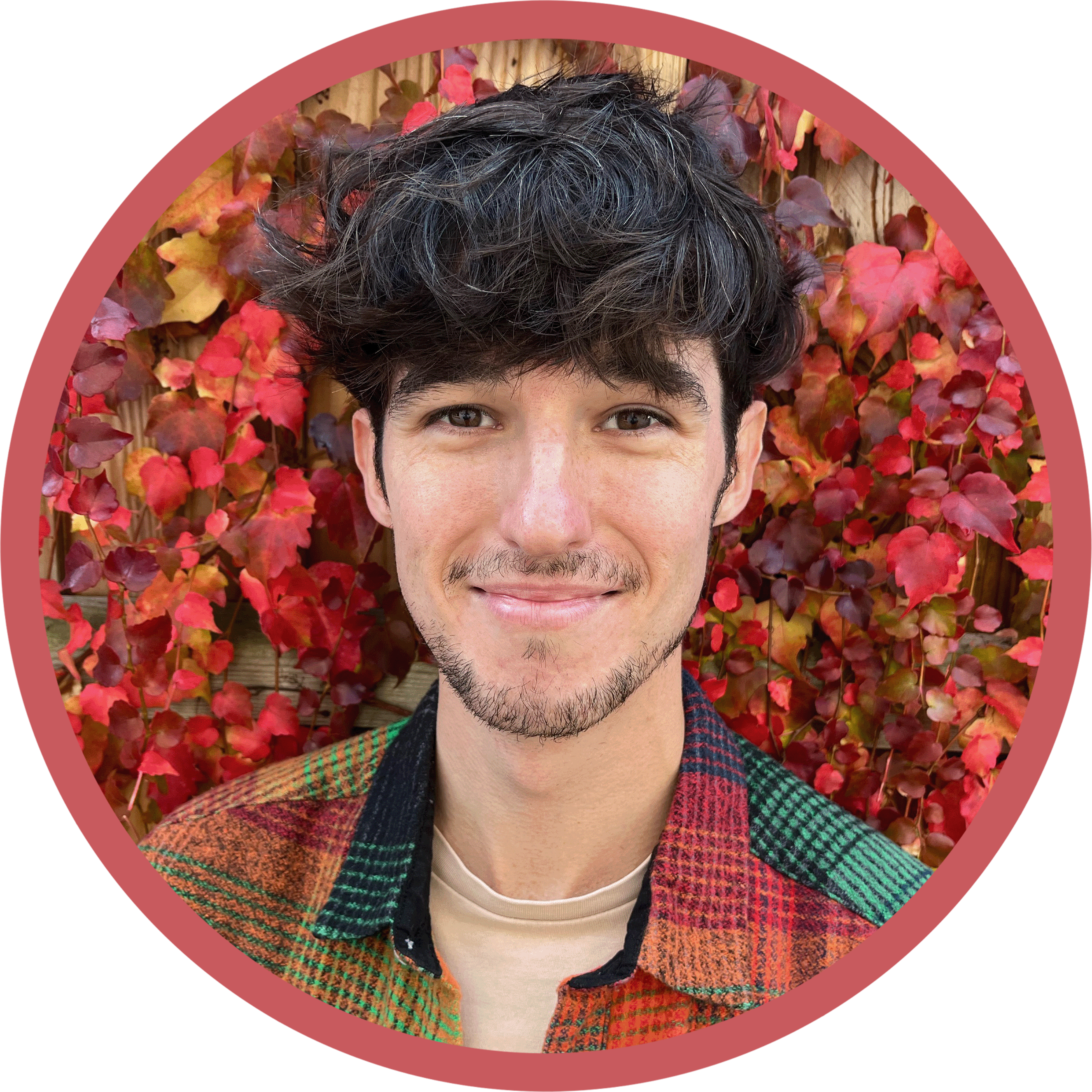Harry, English & Drama tutor