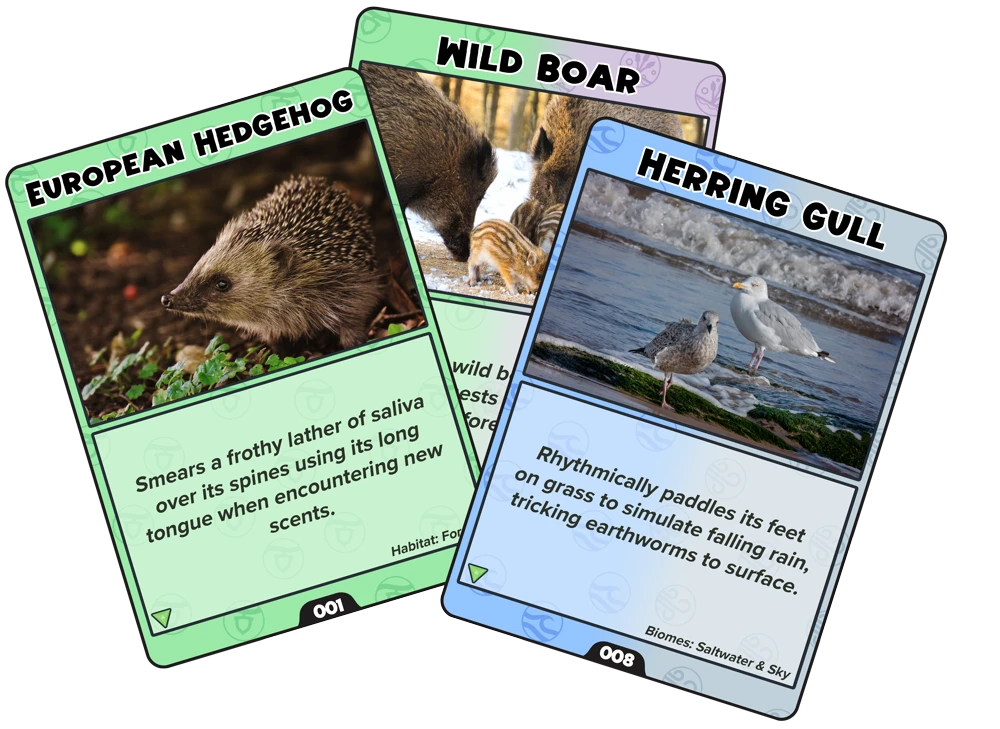 Wildhaven collectible cards — Duck, Badger and Arctic Fox