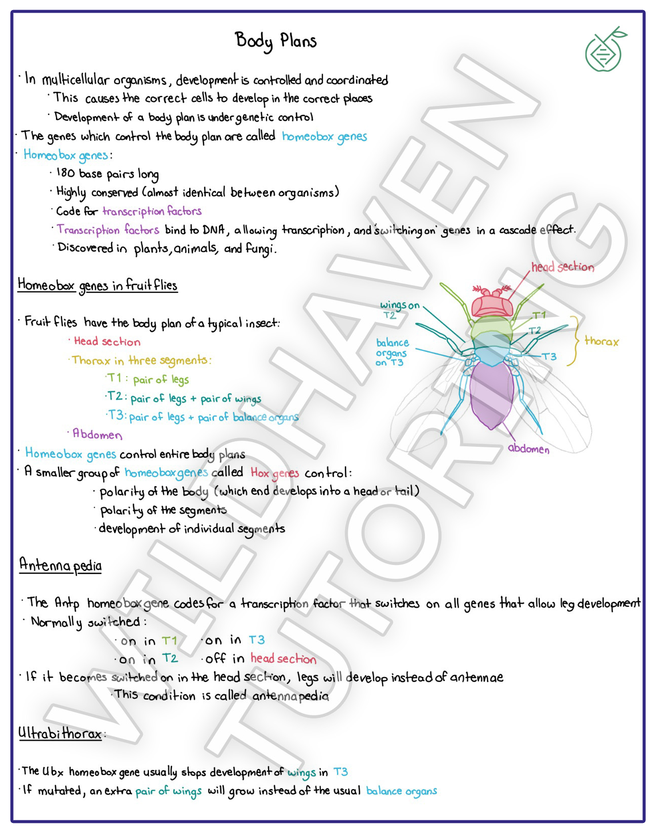 Sample annotated Biology notes