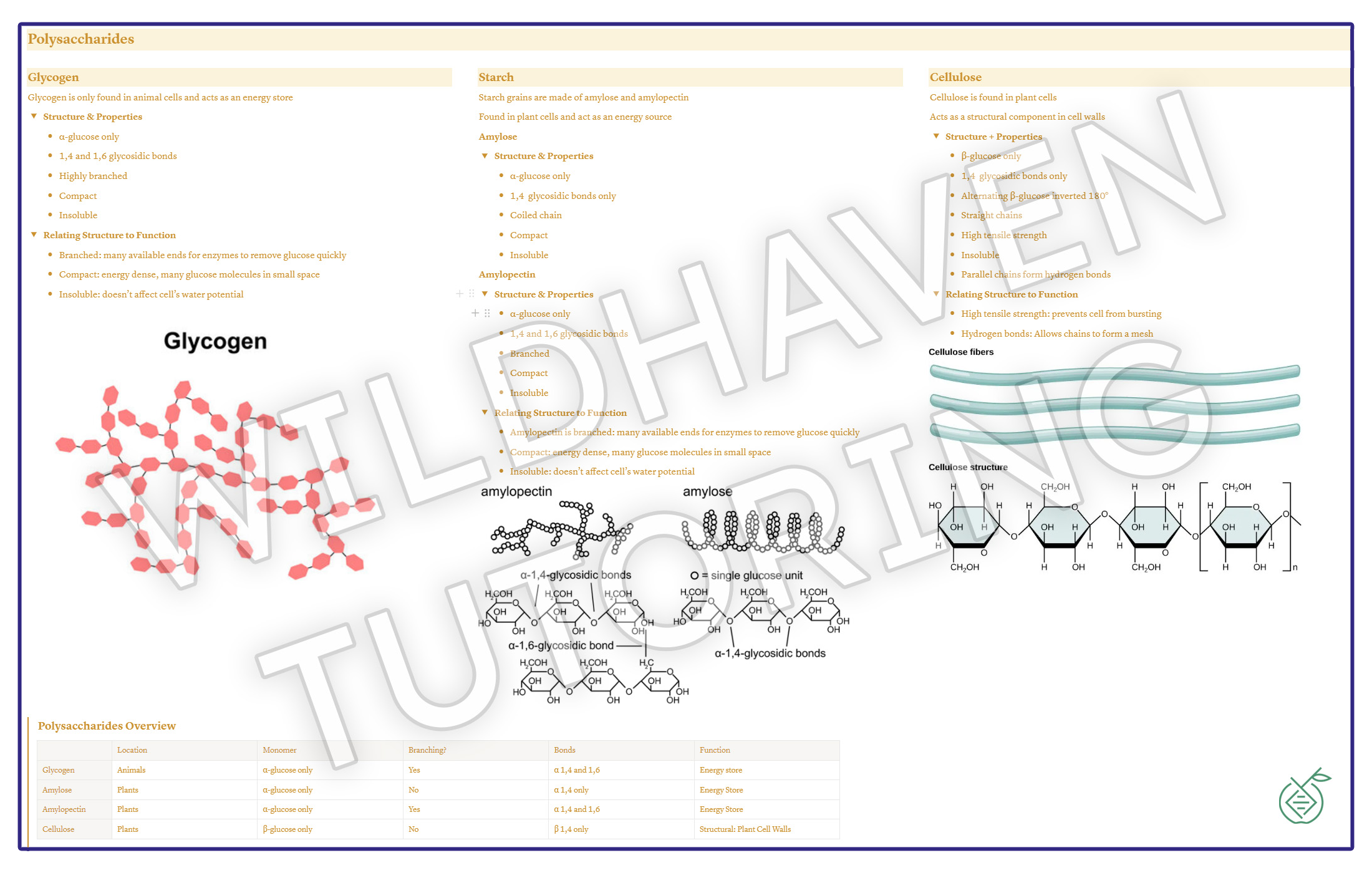 Sample Biology topic notes
