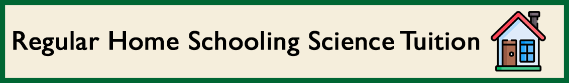 Regular Home Schooling Science Tuition